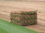 Custom garden landscaping experts serving Lake Jackson, TX - Gulf Coast Landscaping