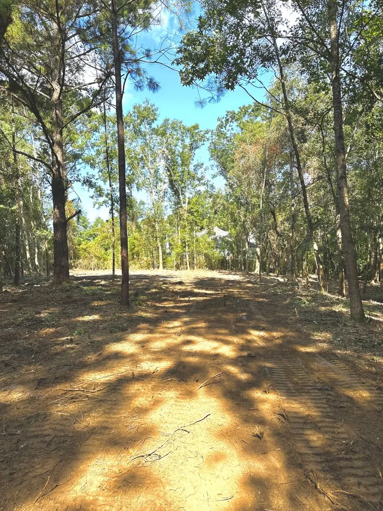 Professional yard cleanup service in Mobile, AL by Gulf Coast Landworks