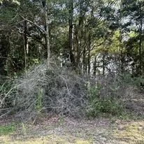 Professional landscape installation in Mobile, AL - Gulf Coast Landworks