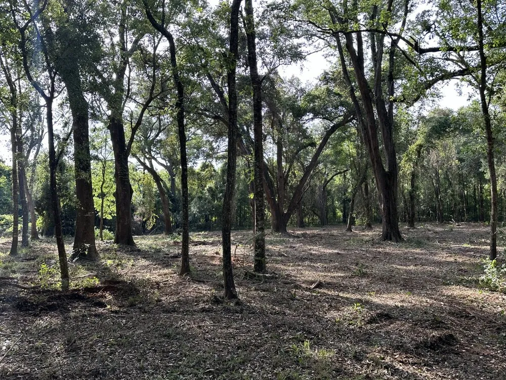 Custom garden landscaping in Mobile, AL by Gulf Coast Landworks