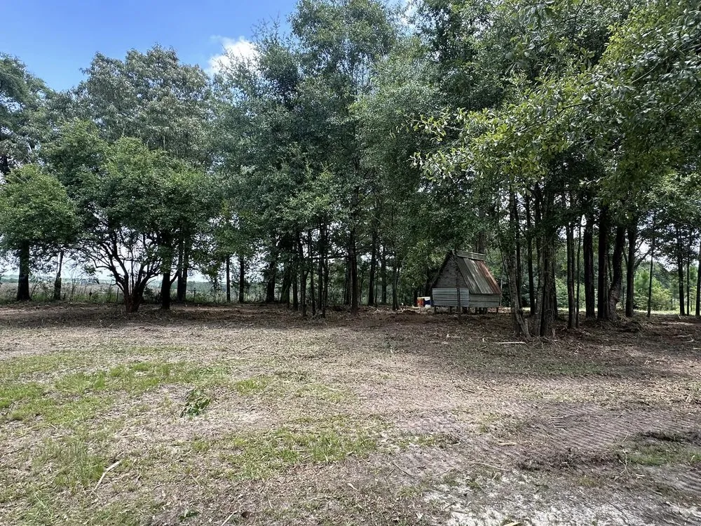 Trusted landscaping services for homes in Mobile, AL by Gulf Coast Landworks