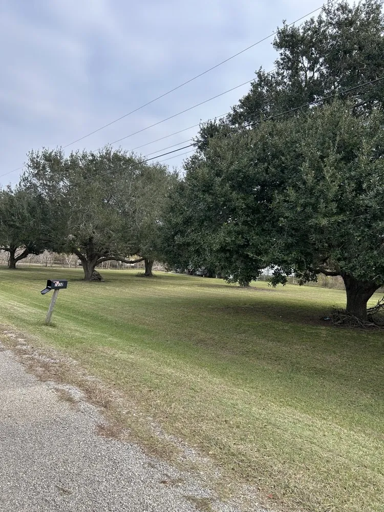 Professional yard maintenance near you across Bay City, TX - Gulf Coast Lawn Care