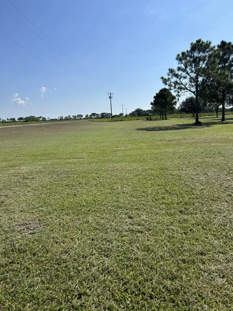 Professional landscape design for homes in Bay City, TX by Gulf Coast Lawn Care