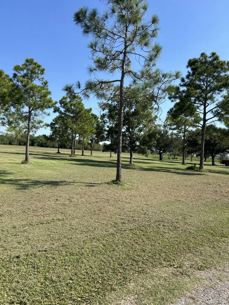 Reliable lawn care service in Bay City, TX - Gulf Coast Lawn Care