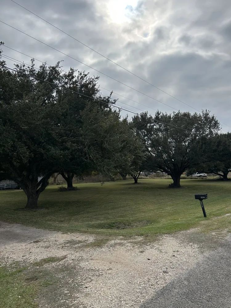 Top-rated outdoor landscaping experts serving Bay City, TX - Gulf Coast Lawn Care