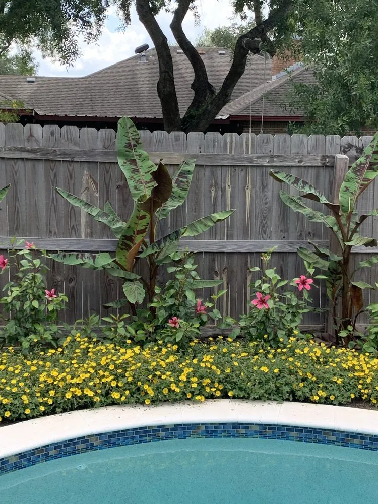 Trusted lawn mowing service in Victoria, TX - Gulf Coast Pest Control