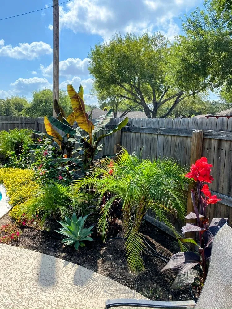 Professional lawn care service for residential properties across Victoria, TX - Gulf Coast Pest Control