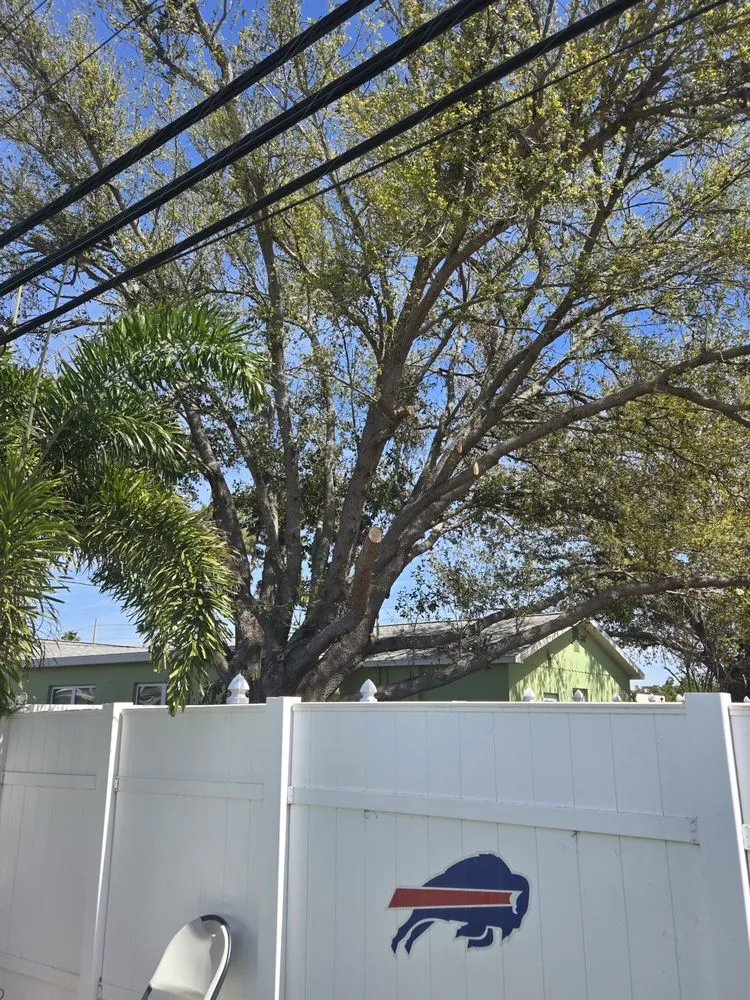 Trusted yard cleanup service in St. Petersburg, FL by Gulf Coast Property and Lawn Maintenance