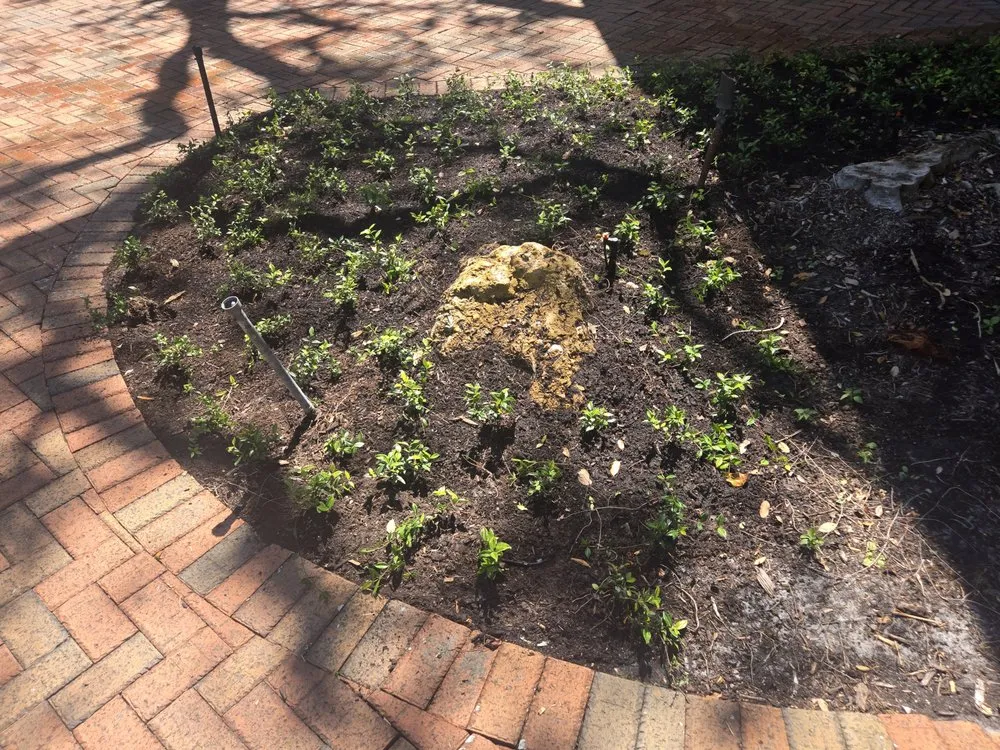 Reliable garden landscaping for homes across St. Petersburg, FL - Gulf Coast Property and Lawn Maintenance