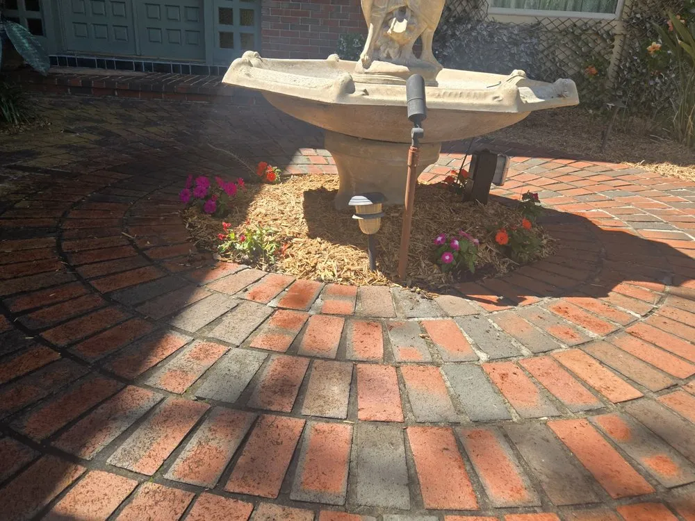 Trusted lawn mowing service in St. Petersburg, FL - Gulf Coast Property and Lawn Maintenance