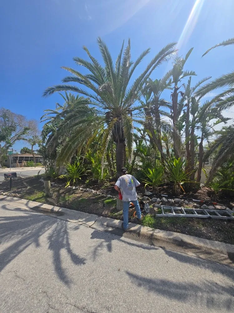 Reliable outdoor landscaping with custom design across St. Petersburg, FL - Gulf Coast Property and Lawn Maintenance