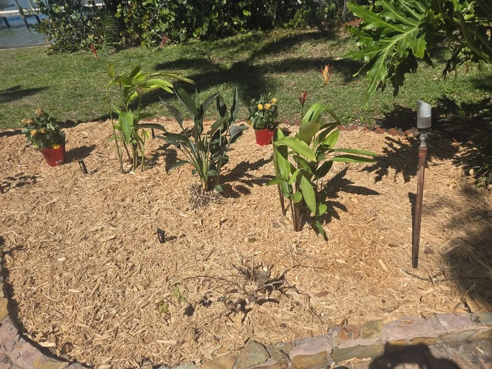 Trusted yard maintenance for homes across St. Petersburg, FL - Gulf Coast Property and Lawn Maintenance