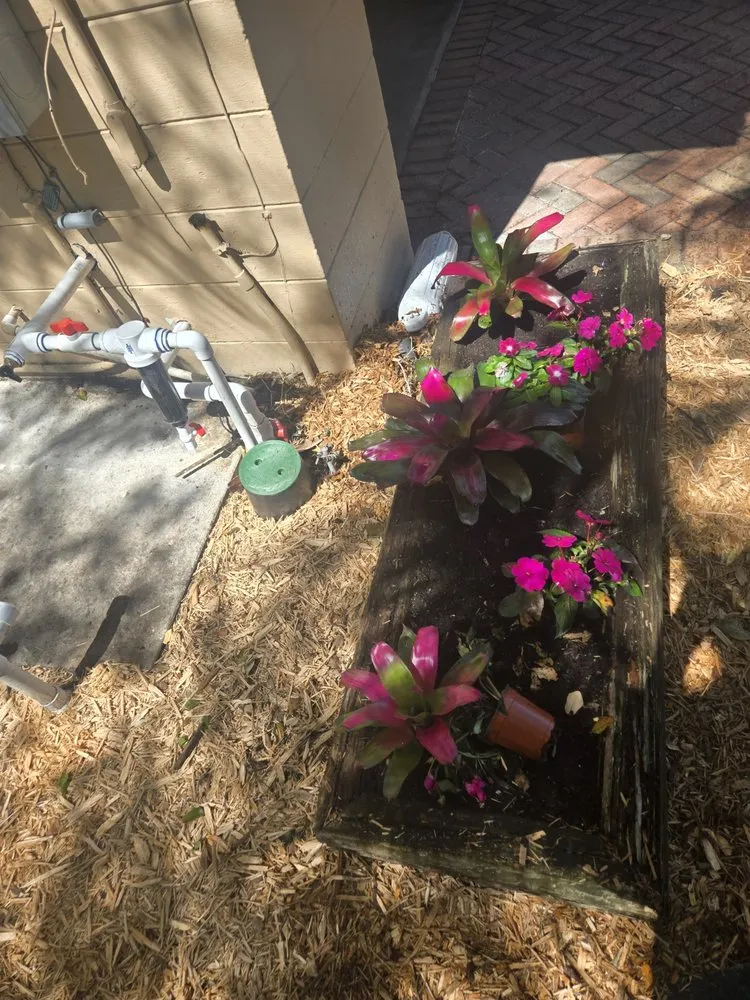 Custom residential landscaping for residential properties across St. Petersburg, FL - Gulf Coast Property and Lawn Maintenance