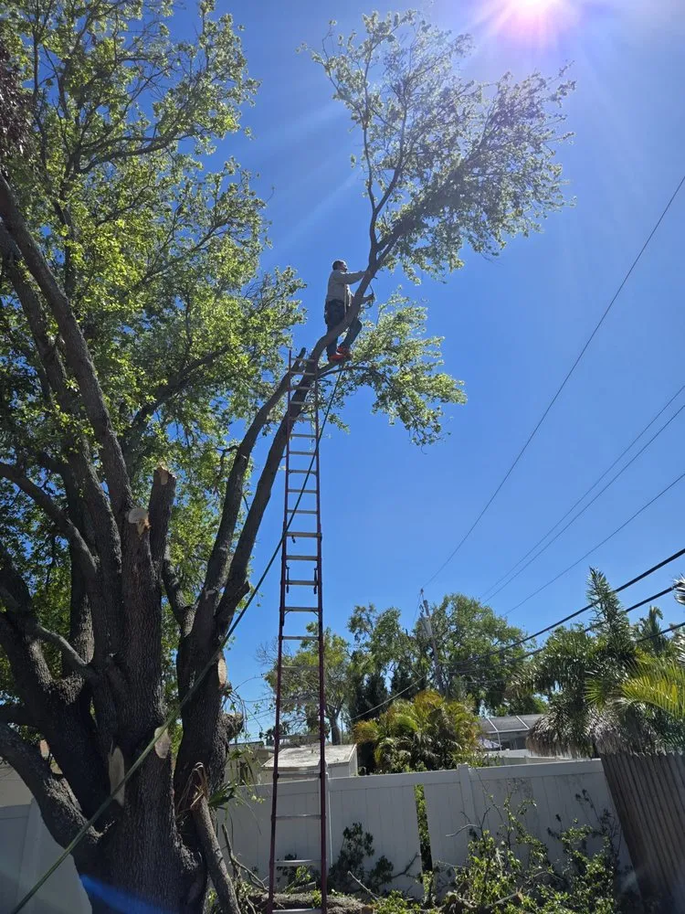 Reliable landscape design in St. Petersburg, FL - Gulf Coast Property and Lawn Maintenance