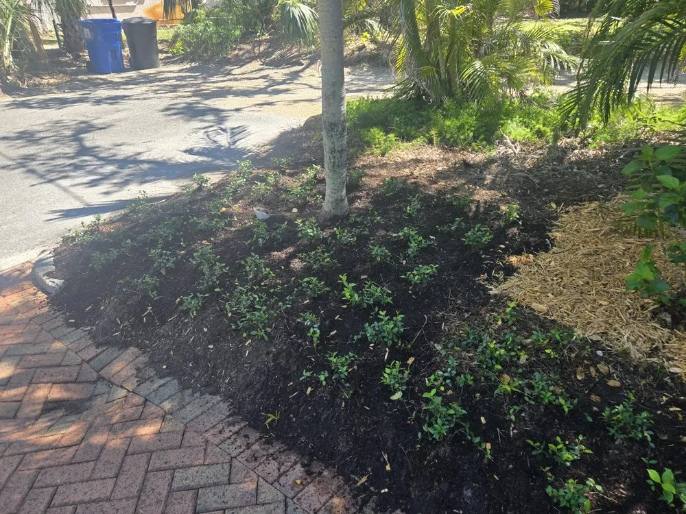 Custom landscape design in St. Petersburg, FL by Gulf Coast Property and Lawn Maintenance