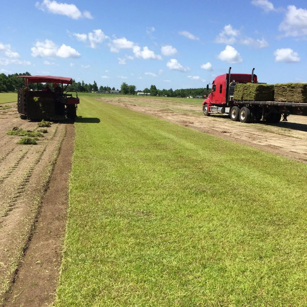 Professional outdoor landscaping with custom design in Lillian, AL by Gulf Coast Sodding