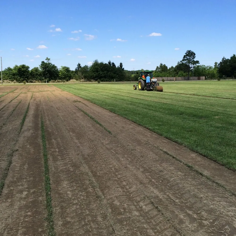 Top-rated residential landscaping in Lillian, AL by Gulf Coast Sodding