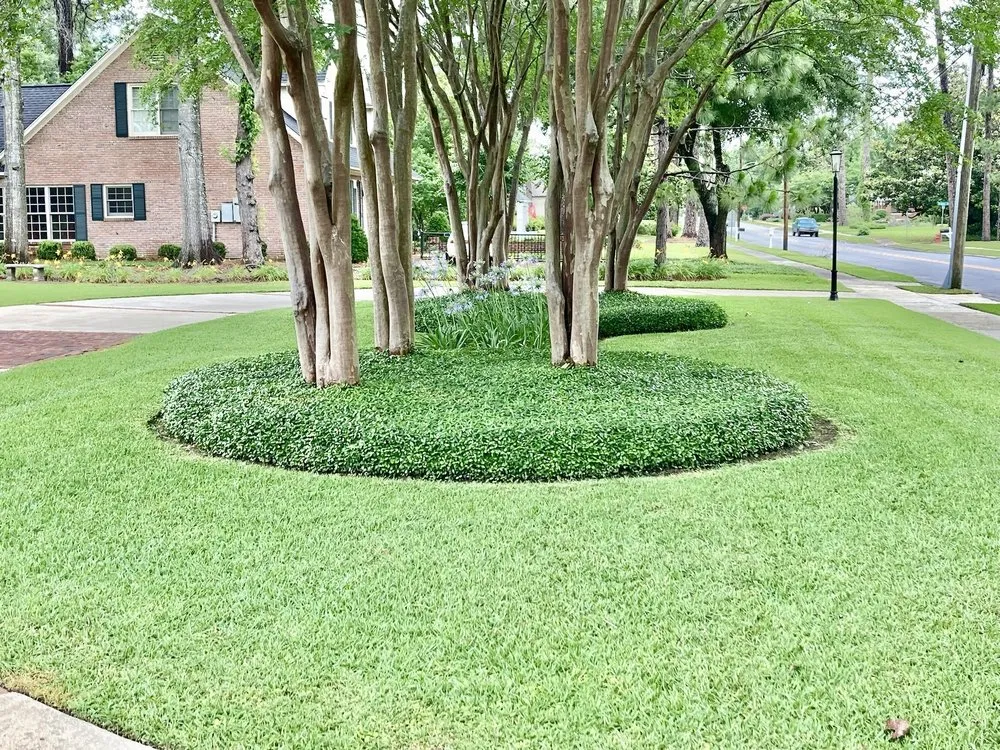 Reliable yard cleanup service experts serving Daphne, AL - Gulf Coast SodScapes