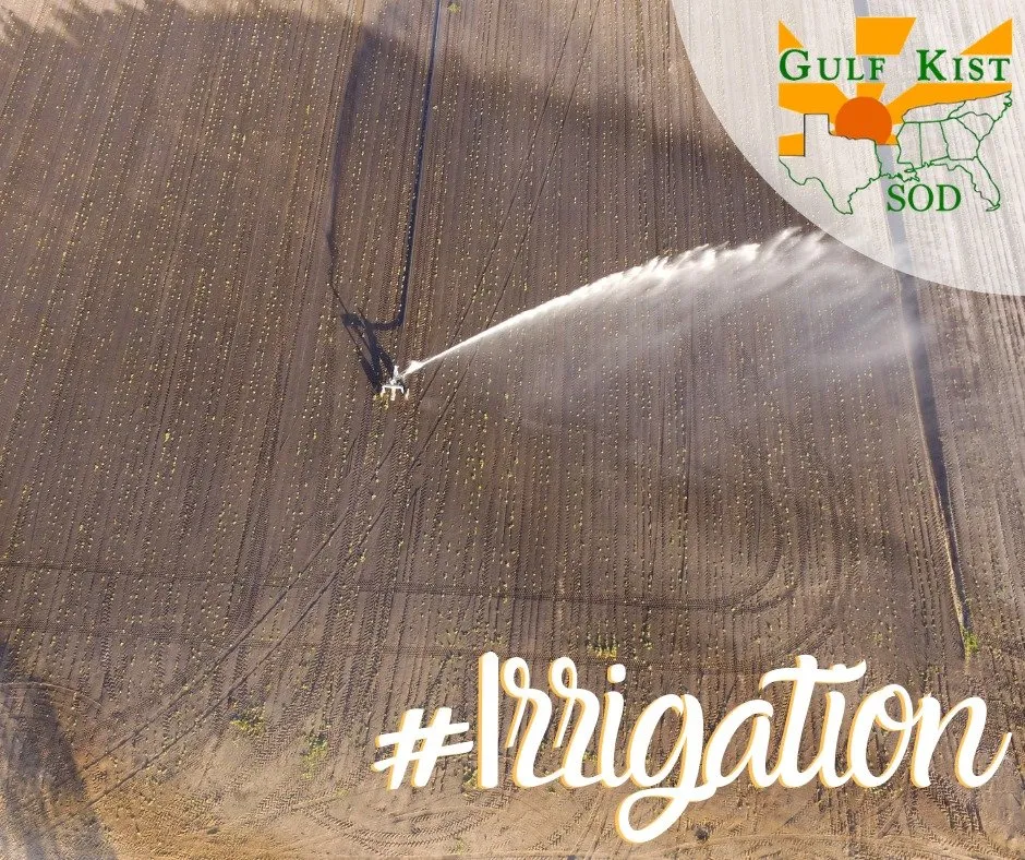 Local yard cleanup service in Pensacola, FL by Gulf Kist Sod