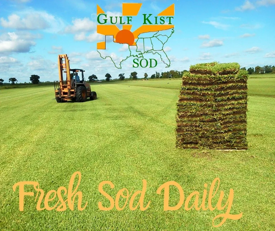 Expert lawn mowing service for residential properties in Pensacola, FL by Gulf Kist Sod