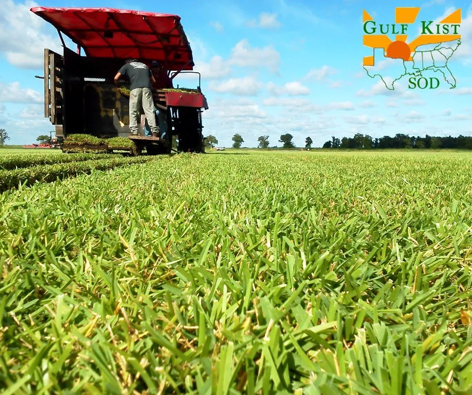 Affordable garden landscaping experts serving Pensacola, FL - Gulf Kist Sod