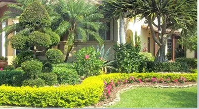 Professional yard cleanup service for outdoor upgrades across North Fort Myers, FL - Gulf Lawn & Tree Service