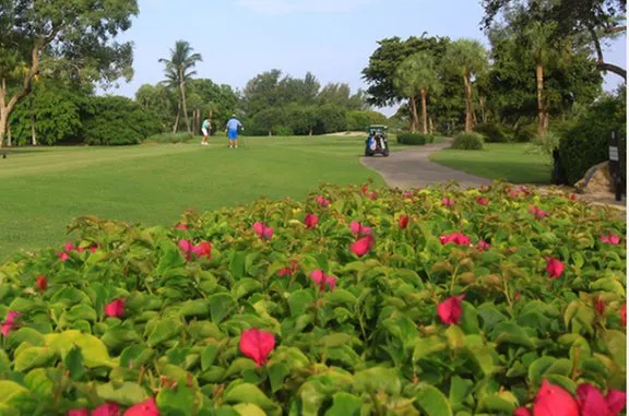 Professional yard cleanup service in North Fort Myers, FL by Gulf Lawn & Tree Service