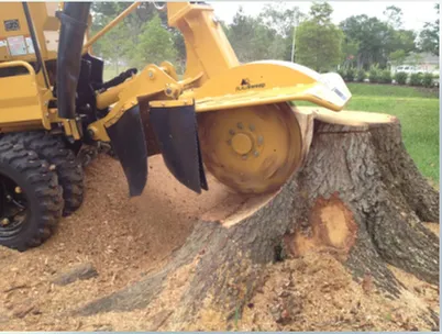 Top-rated landscaping services in North Fort Myers, FL by Gulf Lawn & Tree Service