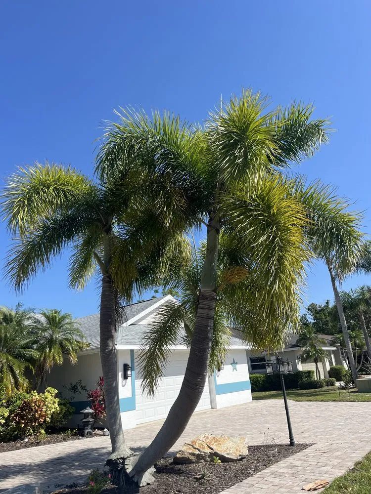 Affordable landscape design for homes in Sarasota, FL by Gulf Of America Land Solutions