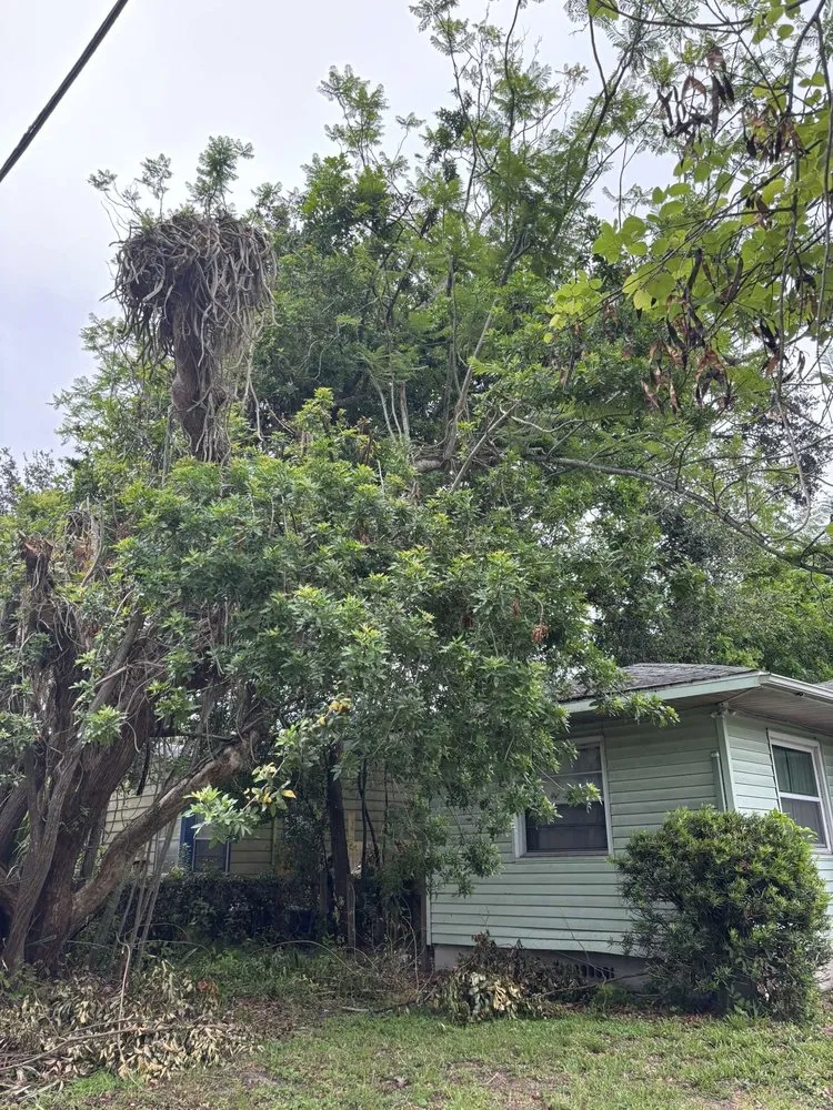 Top-rated yard maintenance in Sarasota, FL - Gulf Of America Land Solutions