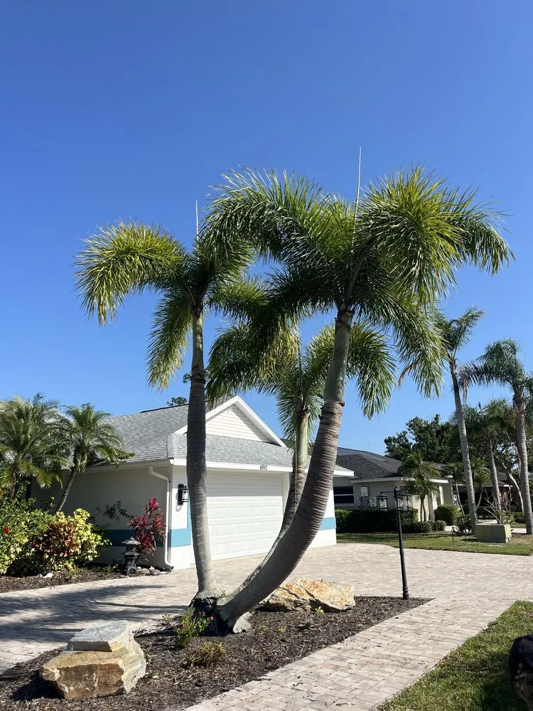 Professional residential landscaping for outdoor upgrades across Sarasota, FL - Gulf Of America Land Solutions