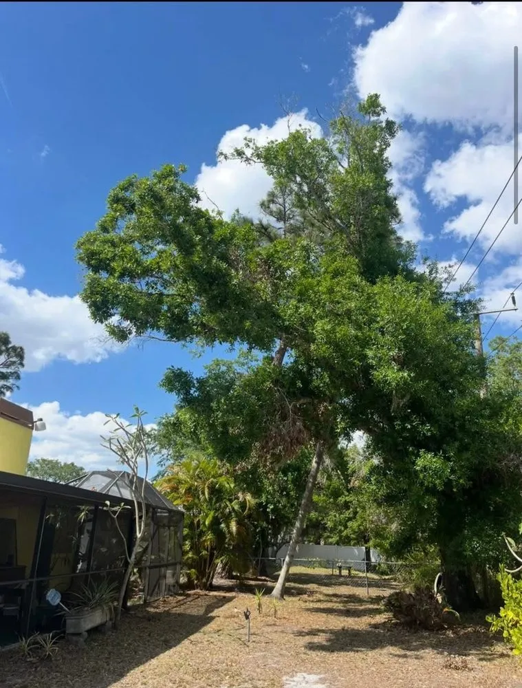 Custom landscape design in Sarasota, FL by Gulf Of America Land Solutions