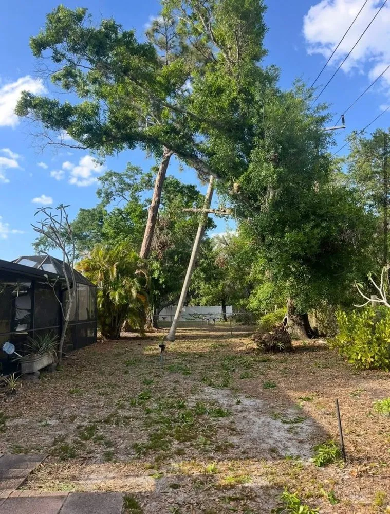 Expert garden landscaping in Sarasota, FL by Gulf Of America Land Solutions