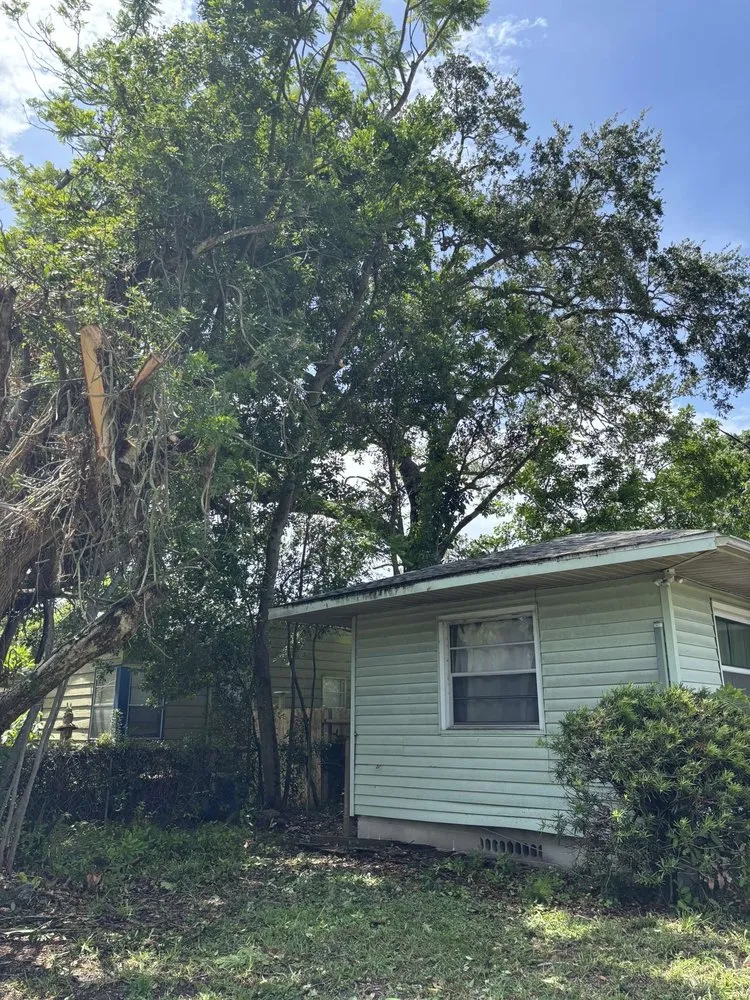 Top-rated yard cleanup service for outdoor upgrades across Sarasota, FL - Gulf Of America Land Solutions