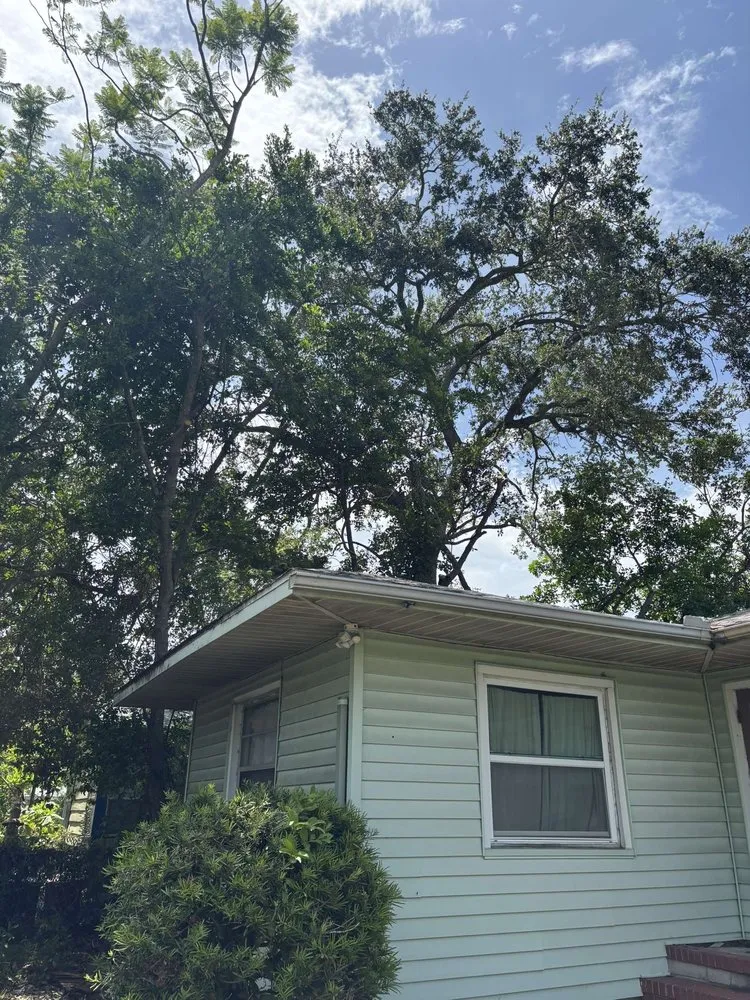 Reliable yard cleanup service experts serving Sarasota, FL - Gulf Of America Land Solutions