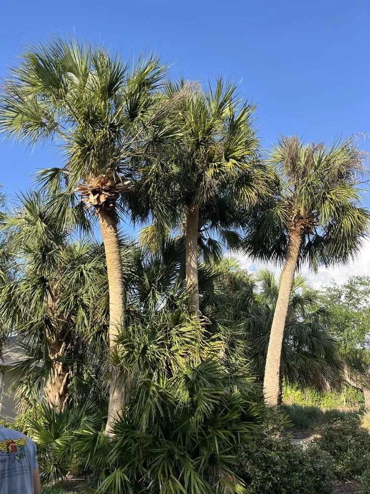 Reliable lawn mowing service for residential properties across Sarasota, FL - Gulf Of America Land Solutions