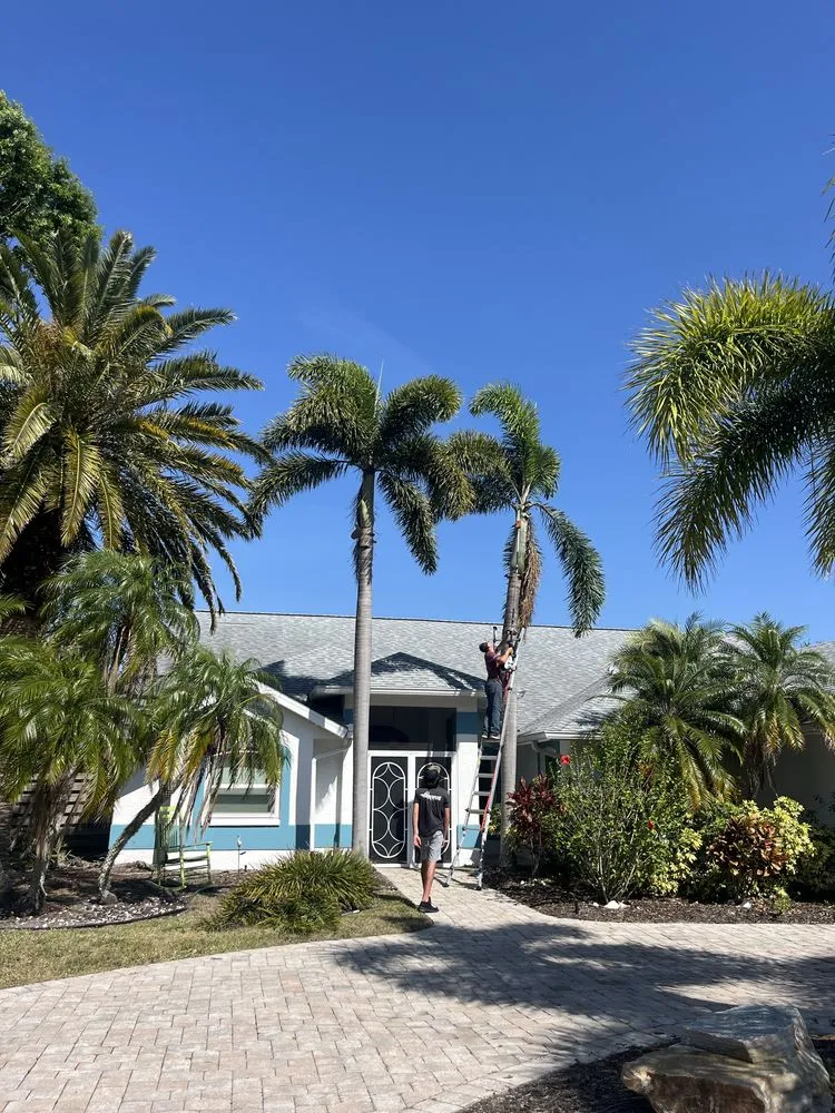 Custom landscape design in Sarasota, FL - Gulf Of America Land Solutions