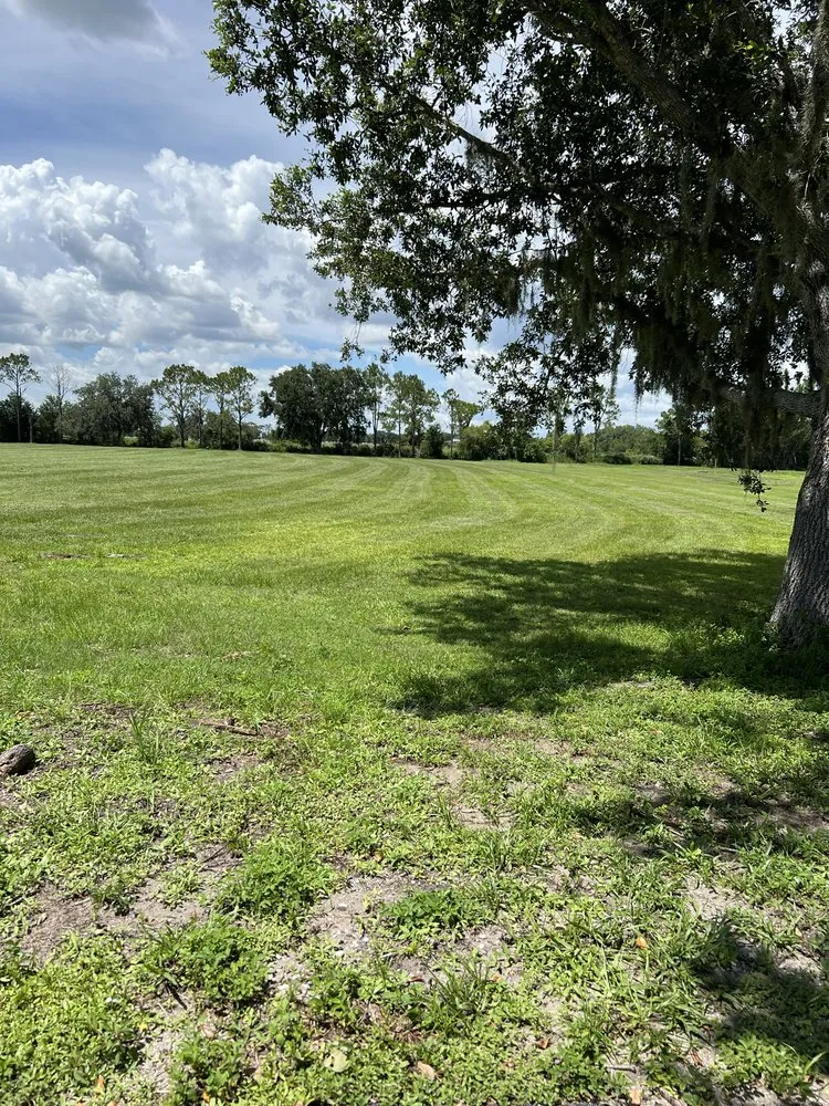 Local residential landscaping in Sarasota, FL - Gulf Of America Land Solutions