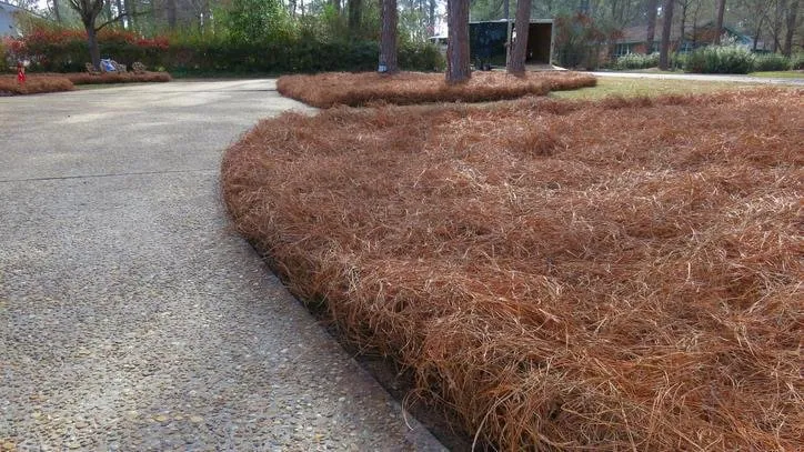 Local lawn mowing service for residential properties across Gulfport, MS - Gulf South Pine Straw