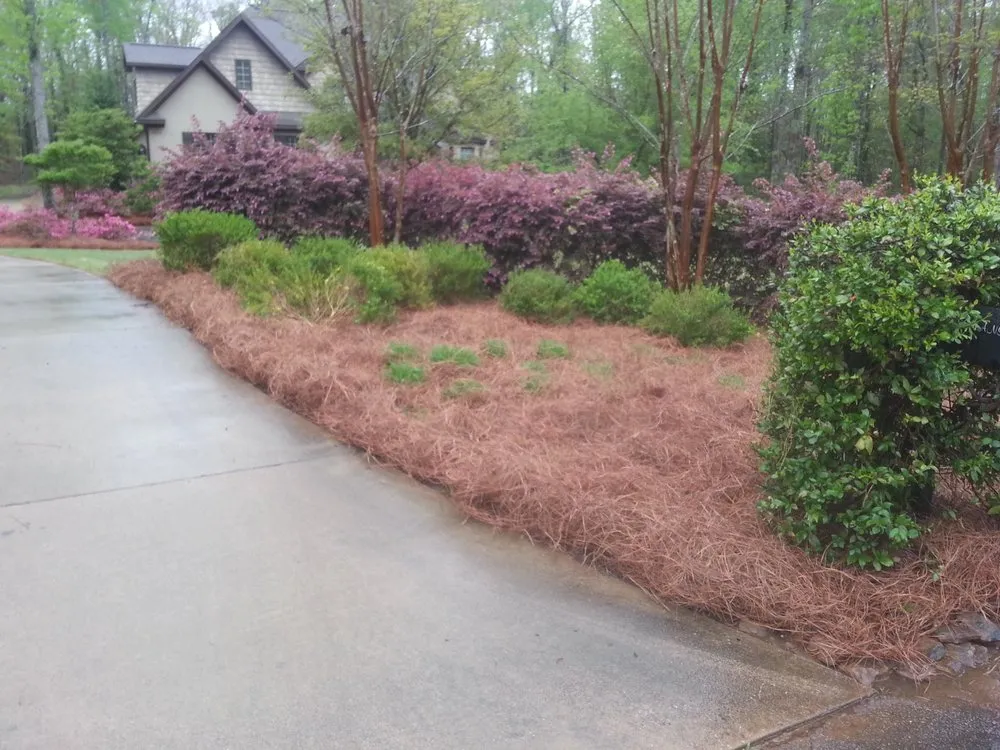 Reliable landscape design for residential properties in Gulfport, MS by Gulf South Pine Straw