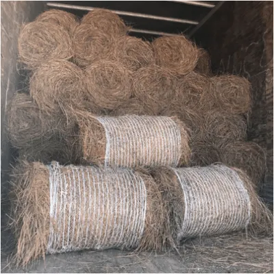 Gulf South Pine Straw Logo