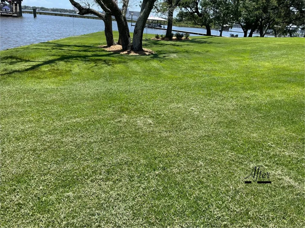 Reliable yard maintenance in Ocean Springs, MS - Gulf South Precision Lawn Care