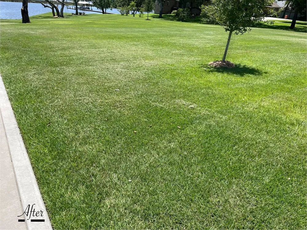 Reliable landscape design experts serving Ocean Springs, MS - Gulf South Precision Lawn Care