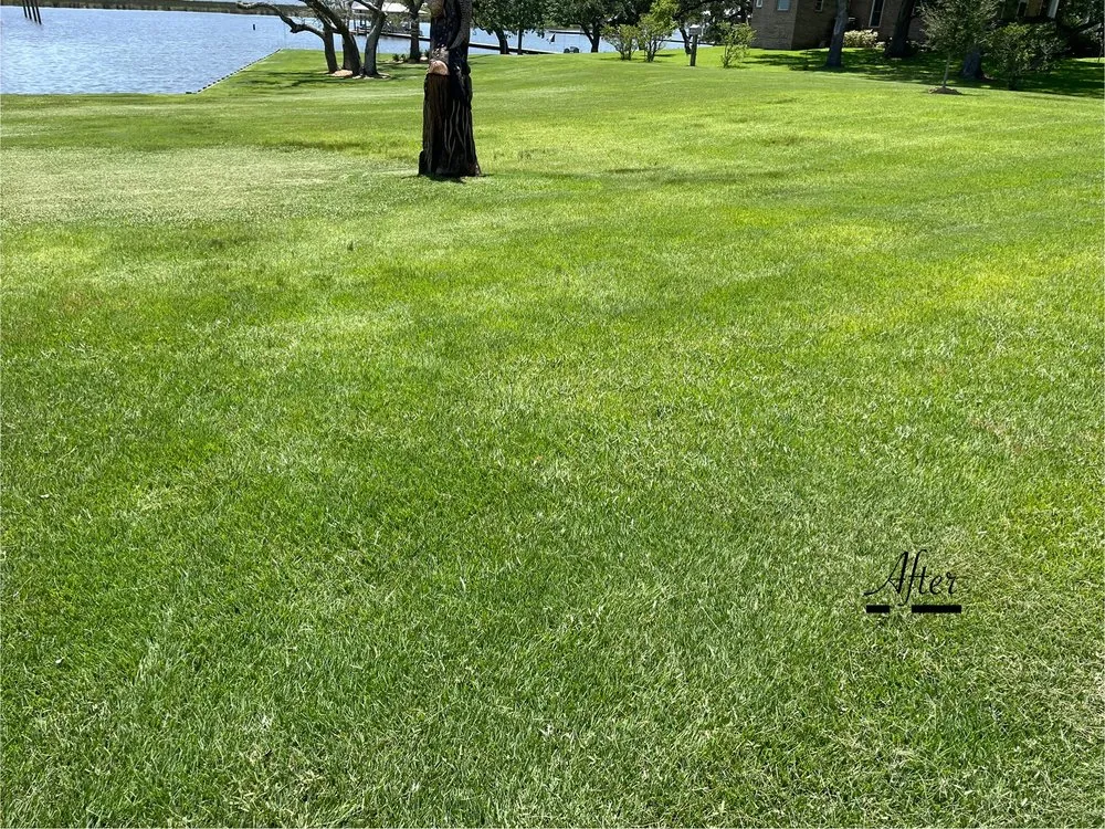 Custom yard cleanup service experts serving Ocean Springs, MS - Gulf South Precision Lawn Care