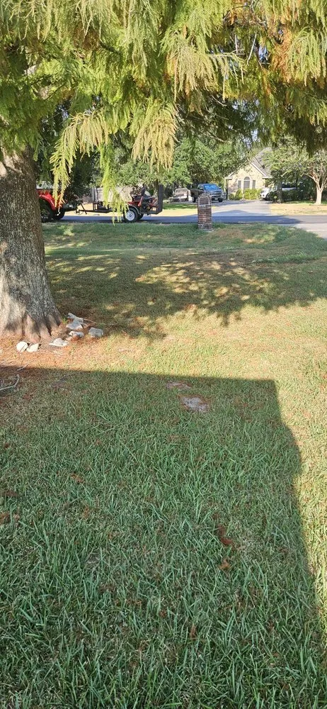 Expert landscape design for homes in Baytown, TX by Gulf Tex Lawn Care