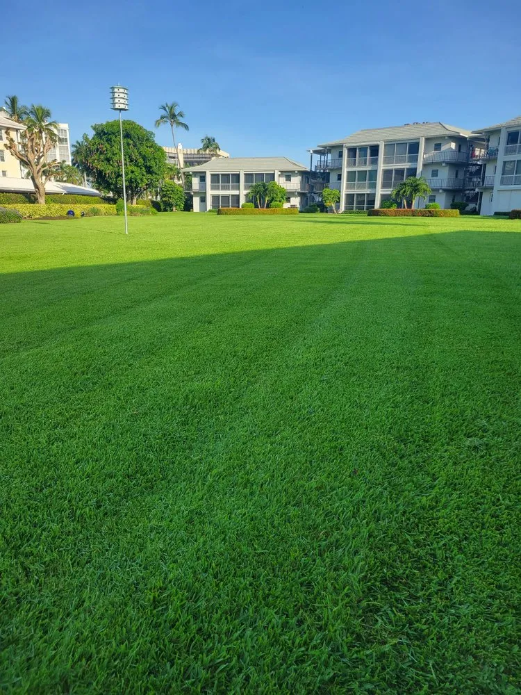 Local landscape design for residential properties in Naples, FL by Gulfshore Lawn And Garden Services