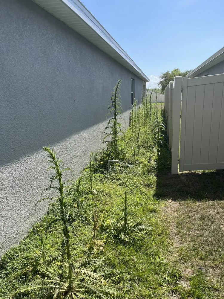 Local lawn mowing service for homes in Venice, FL by Gulfshore Lawn Care