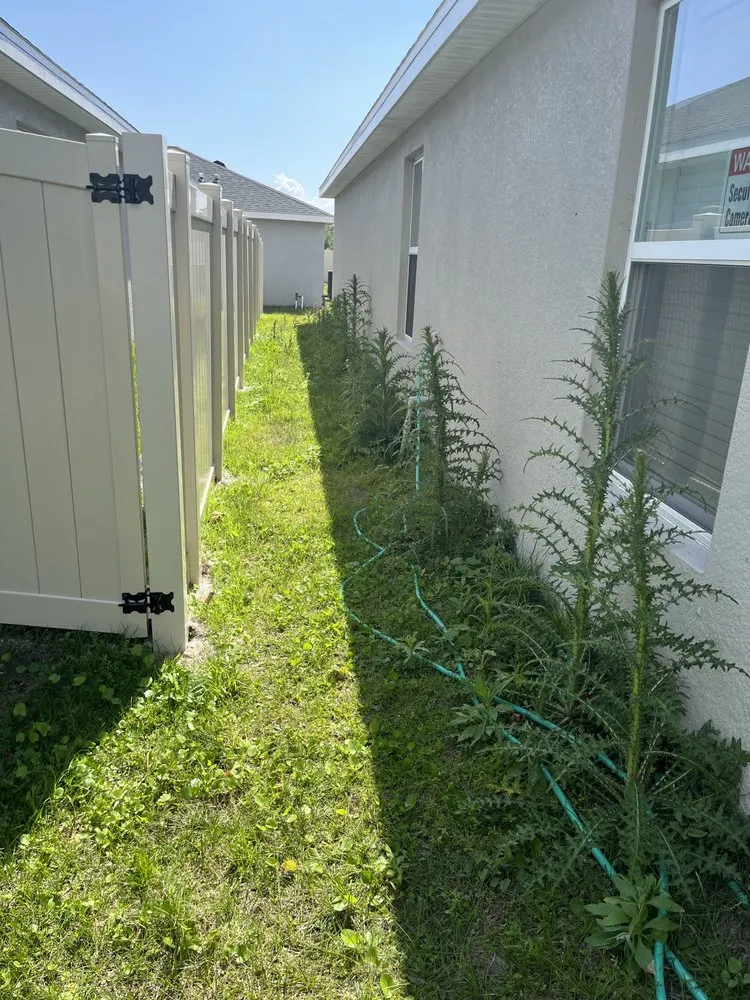 Expert yard cleanup service in Venice, FL by Gulfshore Lawn Care