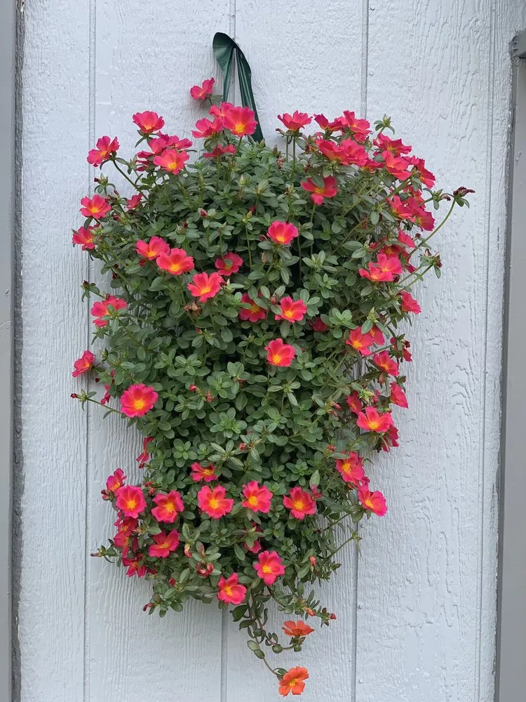 Custom landscape installation for outdoor upgrades in Hamburg, NY by Gullo's Garden Center