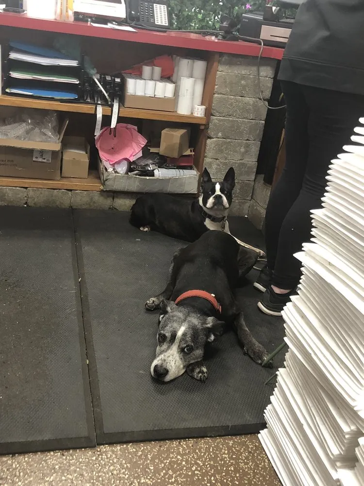 Trusted landscape design with custom design in Hamburg, NY by Gullo's Garden Center